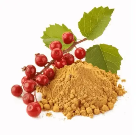 Schisandra Fruit Extract.png